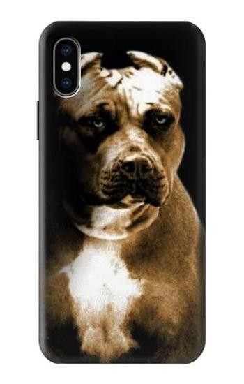 S0520 PitBull Hülle Schutzhülle Taschen für iPhone X, iPhone XS