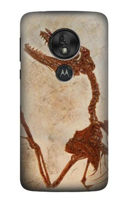S0379 Dinosaur Fossil Hülle Schutzhülle Taschen für Motorola Moto G7 Play