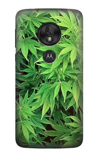 S1656 Marijuana Plant Hülle Schutzhülle Taschen für Motorola Moto G7 Play