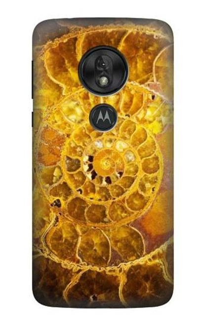 S1789 Ammonite Fossils Hülle Schutzhülle Taschen für Motorola Moto G7 Power