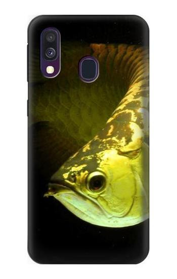 S1021 Gold Arowana Fish Hülle Schutzhülle Taschen für Samsung Galaxy A40
