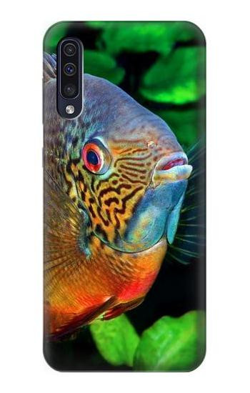 S1812 Cichlid Fish Hülle Schutzhülle Taschen für Samsung Galaxy A50