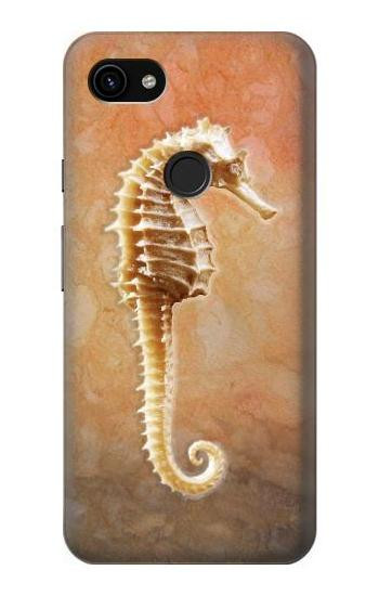 S2674 Seahorse Skeleton Fossil Hülle Schutzhülle Taschen für Google Pixel 3a XL