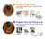S3234 Violin Hülle Schutzhülle Taschen für iPhone 11