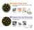 S3356 Sexy Girls Camo Camouflage Hülle Schutzhülle Taschen für iPhone 11