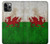 S2976 Wales Football Soccer Euro 2016 Flag Hülle Schutzhülle Taschen für iPhone 11 Pro