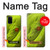 S0785 Green Snake Hülle Schutzhülle Taschen für Samsung Galaxy S20 Plus, Galaxy S20+