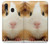 S1619 Cute Guinea Pig Hülle Schutzhülle Taschen für Samsung Galaxy A20, Galaxy A30