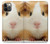 S1619 Cute Guinea Pig Hülle Schutzhülle Taschen für iPhone 12, iPhone 12 Pro