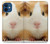 S1619 Cute Guinea Pig Hülle Schutzhülle Taschen für iPhone 12 mini