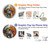 S3331 Peter Paul Rubens Tiger und Lowenjagd Hülle Schutzhülle Taschen für iPhone 12 mini