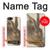 S3781 Albrecht Durer Young Hare Hülle Schutzhülle Taschen für iPhone 5 5S SE