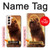 S1957 Lion Aslan Hülle Schutzhülle Taschen für Samsung Galaxy S21 5G