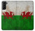 S2976 Wales Football Soccer Flag Hülle Schutzhülle Taschen für Samsung Galaxy S21 Plus 5G, Galaxy S21+ 5G
