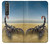 S0150 Desert Scorpion Hülle Schutzhülle Taschen für Sony Xperia 1 III