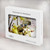S0109 Cute Squirrel Cartoon Hülle Schutzhülle Taschen für MacBook Air 13″ - A1369, A1466