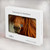 S1595 Beautiful Brown Horse Hülle Schutzhülle Taschen für MacBook Air 13″ - A1369, A1466