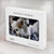 S0246 White Horse Hülle Schutzhülle Taschen für MacBook Pro 15″ - A1707, A1990