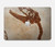 S0379 Dinosaur Fossil Hülle Schutzhülle Taschen für MacBook Pro 16″ - A2141