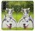 S3795 Grumpy Kitten Cat Playful Siberian Husky Dog Paint Hülle Schutzhülle Taschen für Samsung Galaxy S21 Plus 5G, Galaxy S21+ 5G