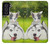 S3795 Grumpy Kitten Cat Playful Siberian Husky Dog Paint Hülle Schutzhülle Taschen für Samsung Galaxy S21 FE 5G