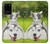 S3795 Grumpy Kitten Cat Playful Siberian Husky Dog Paint Hülle Schutzhülle Taschen für Samsung Galaxy S20 Plus, Galaxy S20+