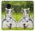 S3795 Grumpy Kitten Cat Playful Siberian Husky Dog Paint Hülle Schutzhülle Taschen für Samsung Galaxy S9