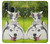 S3795 Grumpy Kitten Cat Playful Siberian Husky Dog Paint Hülle Schutzhülle Taschen für Samsung Galaxy A40