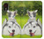 S3795 Grumpy Kitten Cat Playful Siberian Husky Dog Paint Hülle Schutzhülle Taschen für Samsung Galaxy Xcover 5