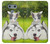 S3795 Grumpy Kitten Cat Playful Siberian Husky Dog Paint Hülle Schutzhülle Taschen für LG G6