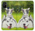 S3795 Grumpy Kitten Cat Playful Siberian Husky Dog Paint Hülle Schutzhülle Taschen für OnePlus Nord N10 5G