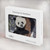 S3793 Cute Baby Panda Snow Painting Hülle Schutzhülle Taschen für MacBook Air 13″ - A1369, A1466