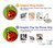 S0892 Ladybug Hülle Schutzhülle Taschen für Motorola Moto E20,E30,E40