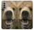 S0840 Grizzly Bear Face Hülle Schutzhülle Taschen für Motorola Moto G51 5G