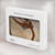 S0379 Dinosaur Fossil Hülle Schutzhülle Taschen für MacBook Pro 16 M1,M2,M3,M4 (2021,2024) - A3403, A3186, A2991, A2780, A2485
