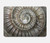 S1788 Ammonite Fossil Hülle Schutzhülle Taschen für MacBook Pro 16 M1,M2,M3,M4 (2021,2024) - A3403, A3186, A2991, A2780, A2485