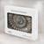S1788 Ammonite Fossil Hülle Schutzhülle Taschen für MacBook Pro 16 M1,M2,M3,M4 (2021,2024) - A3403, A3186, A2991, A2780, A2485