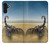 S0150 Desert Scorpion Hülle Schutzhülle Taschen für Samsung Galaxy A13 4G