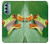 S1047 Little Frog Hülle Schutzhülle Taschen für Motorola Moto G Stylus 5G (2022)