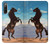 S0934 Wild Black Horse Hülle Schutzhülle Taschen für Sony Xperia 10 IV