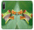 S1047 Little Frog Hülle Schutzhülle Taschen für Sony Xperia 10 IV
