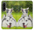 S3795 Kitten Cat Playful Siberian Husky Dog Paint Hülle Schutzhülle Taschen für Sony Xperia 1 IV