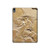 S0380 Dinosaur Fossil Hülle Schutzhülle Taschen für iPad Air (2020, 2022), Air 11 (2024,2025,2026), Pro 11 (2022)