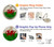 S2976 Wales Football Soccer Flag Hülle Schutzhülle Taschen für OnePlus Nord N20 5G S2976 Wales Football Soccer Flag Hülle Schutzhülle Taschen für OnePlus Nord N20 5G