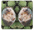 S3863 Pygmy Hedgehog Dwarf Hedgehog Paint Hülle Schutzhülle Taschen für iPhone 5 5S SE