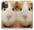 S1619 Cute Guinea Pig Hülle Schutzhülle Taschen für iPhone 14 Pro