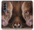 S0519 PitBull Face Hülle Schutzhülle Taschen für Samsung Galaxy Z Fold 4