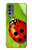 S0892 Ladybug Hülle Schutzhülle Taschen für Motorola Moto G62 5G