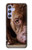 S0519 PitBull Face Hülle Schutzhülle Taschen für Samsung Galaxy A54 5G