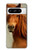 S1595 Beautiful Brown Horse Hülle Schutzhülle Taschen für Google Pixel 8 pro